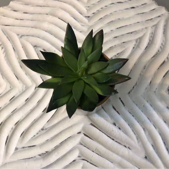 Mini Potted Faux Succulent - Small Artificial Succulent in Ceramic Pot - Picture 3 of 9